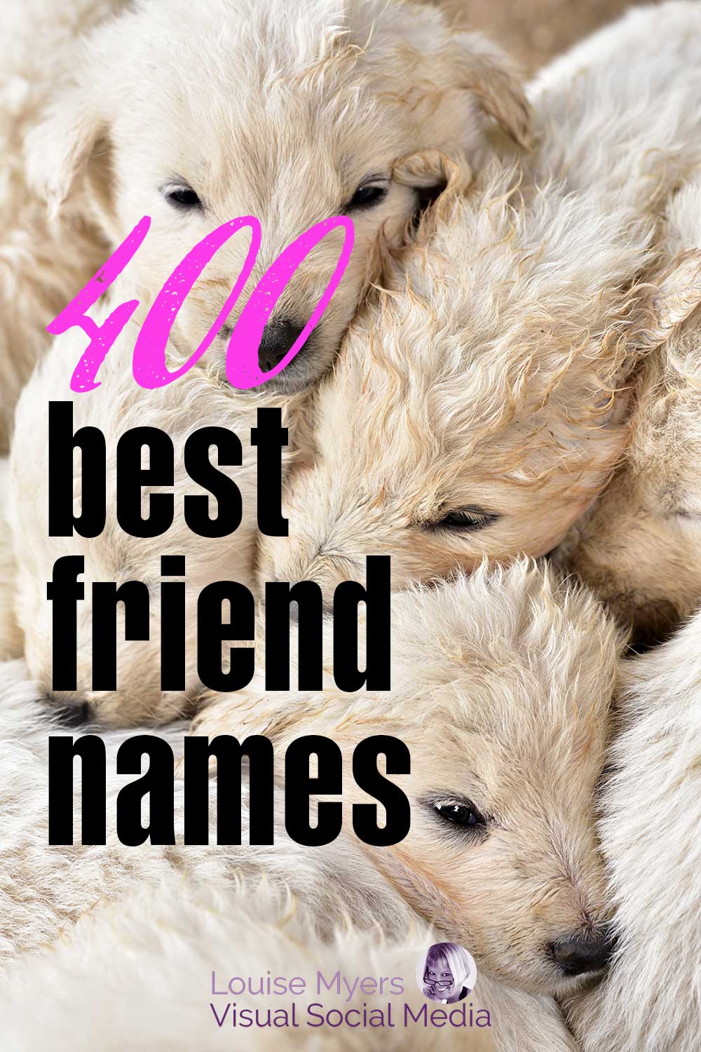 closeup of fuzzy puppies with text 400 best friend names.
