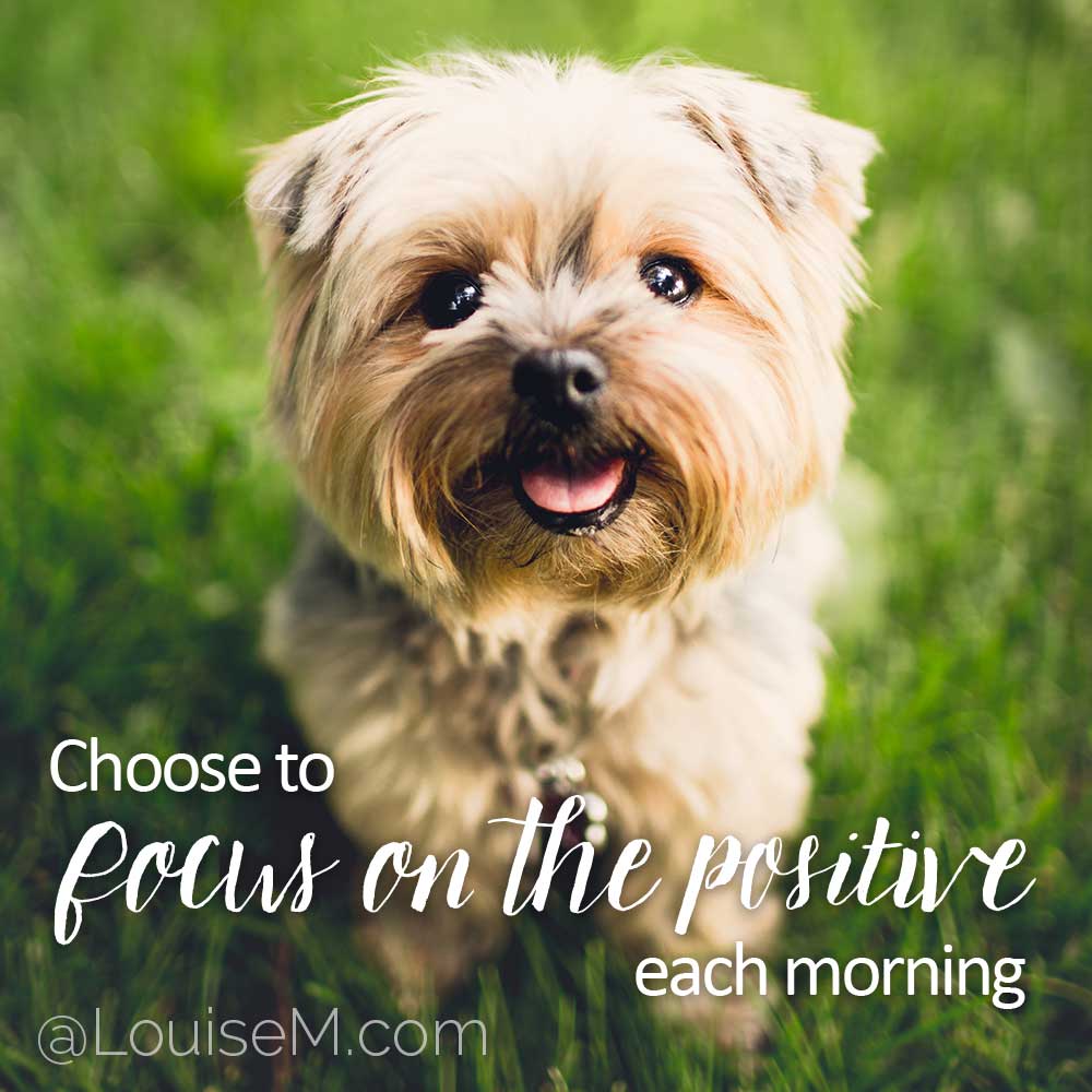cute puppy smiling with text choose to focus on the positive each morning.