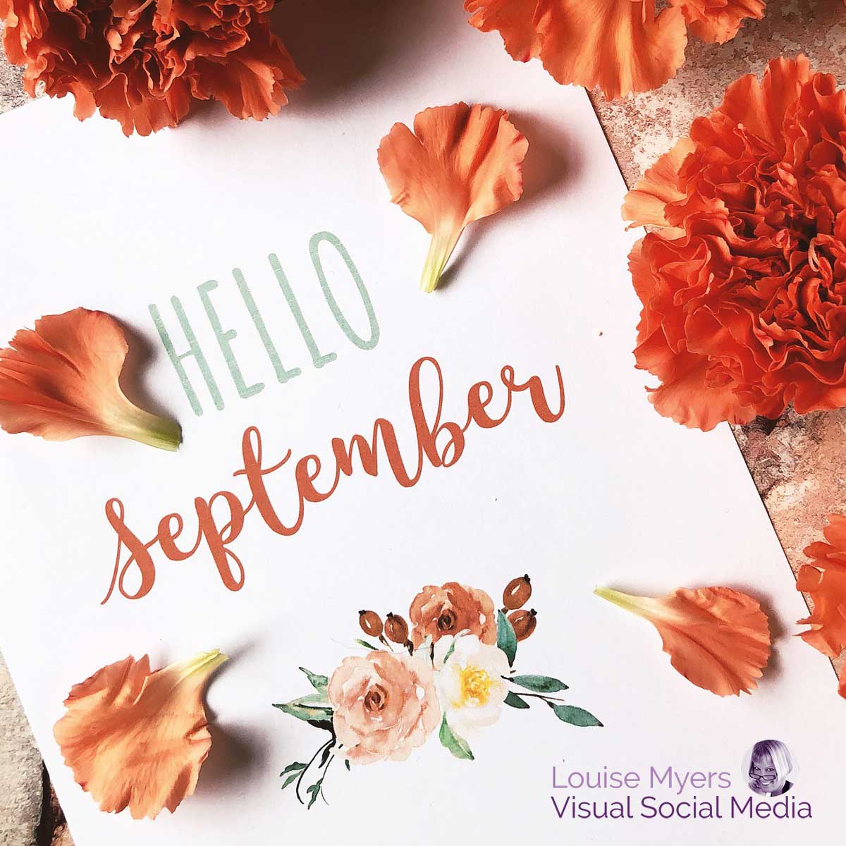 flat lay of orange carnations and petals has paper with script saying hello september.