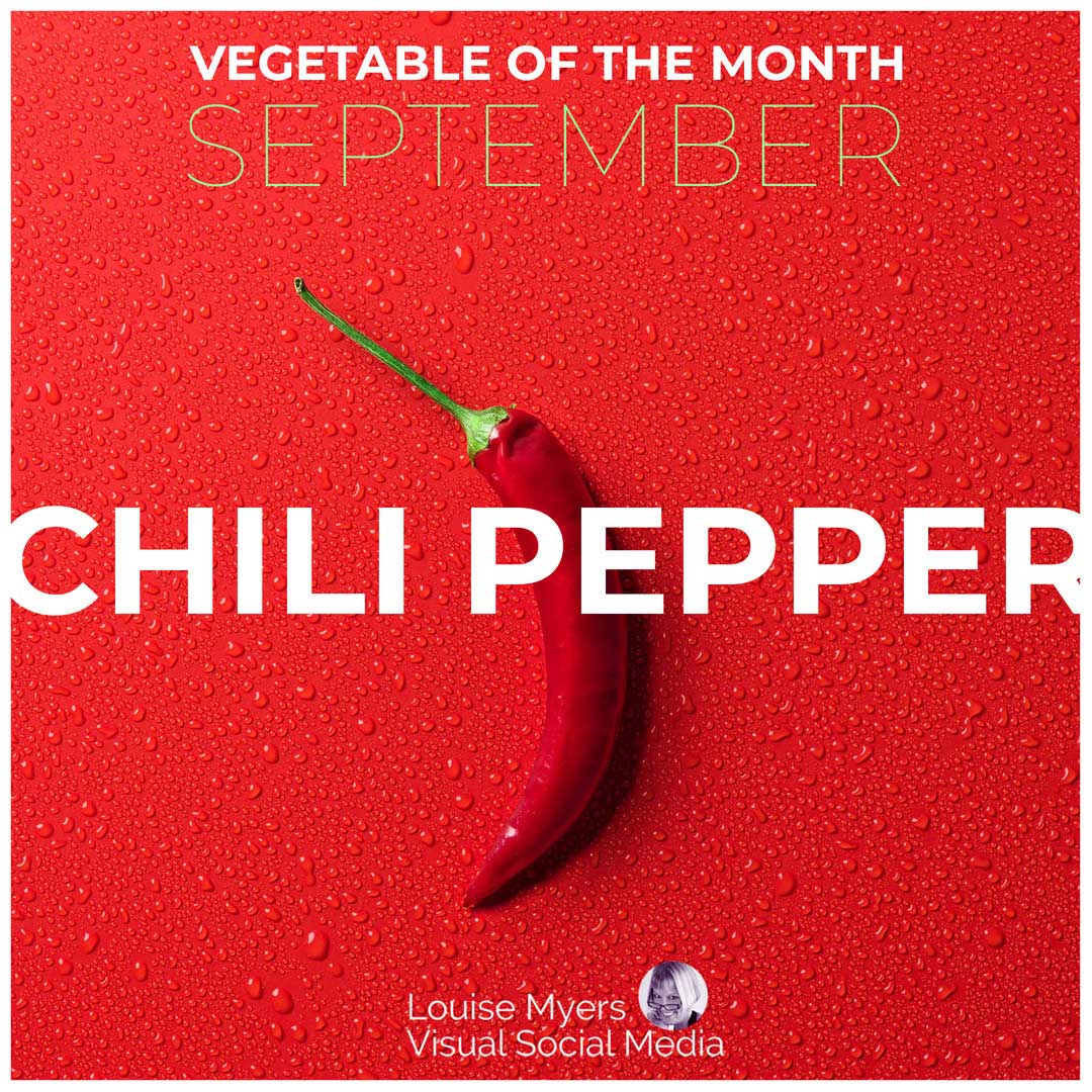 red graphic with single chili pepper says september vegetable of the month.