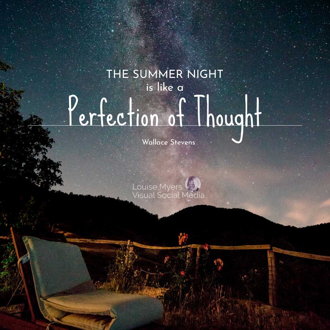 starry sky scene says the summer night is like a perfection of thought.