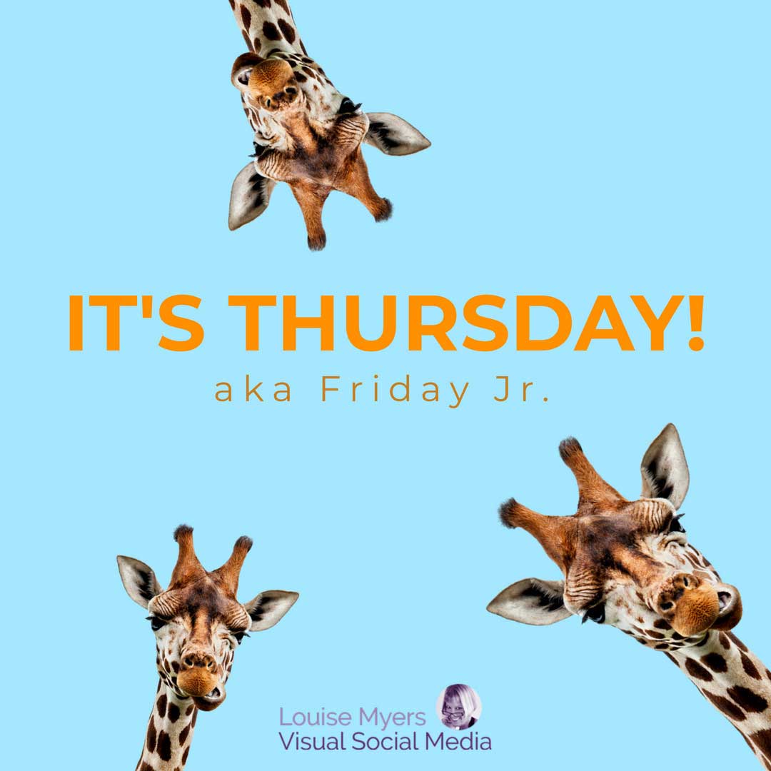 3 giraffes looking down from blue sky says it's thursday aka friday junior.