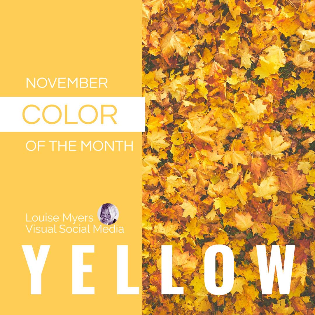 yellow and golden fall leaves says november color of the month is yellow.
