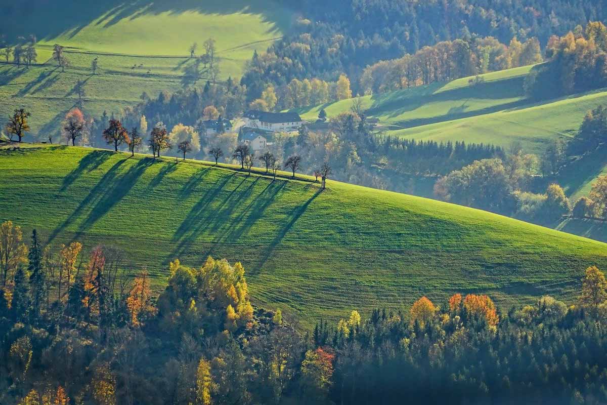 overview of beautiful relaxing green landscape.