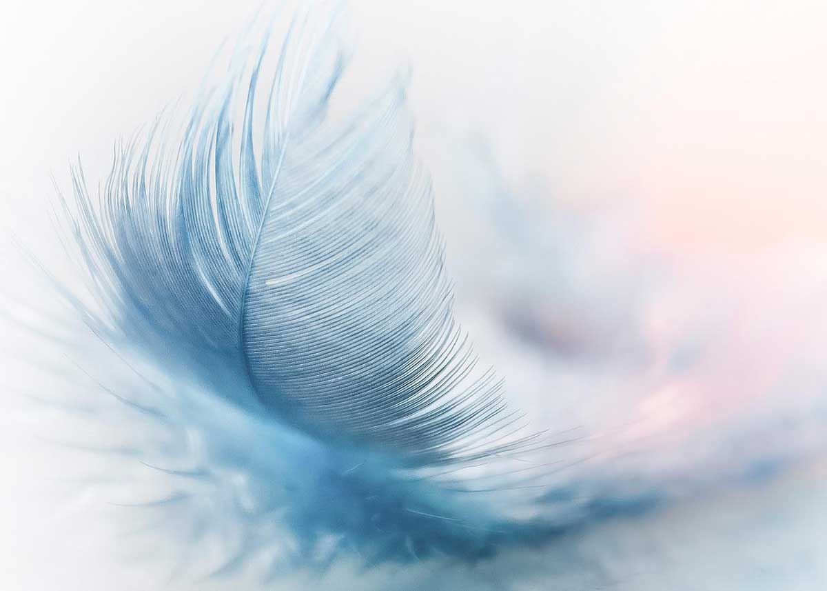 pale blue feather looks soft and peaceful.