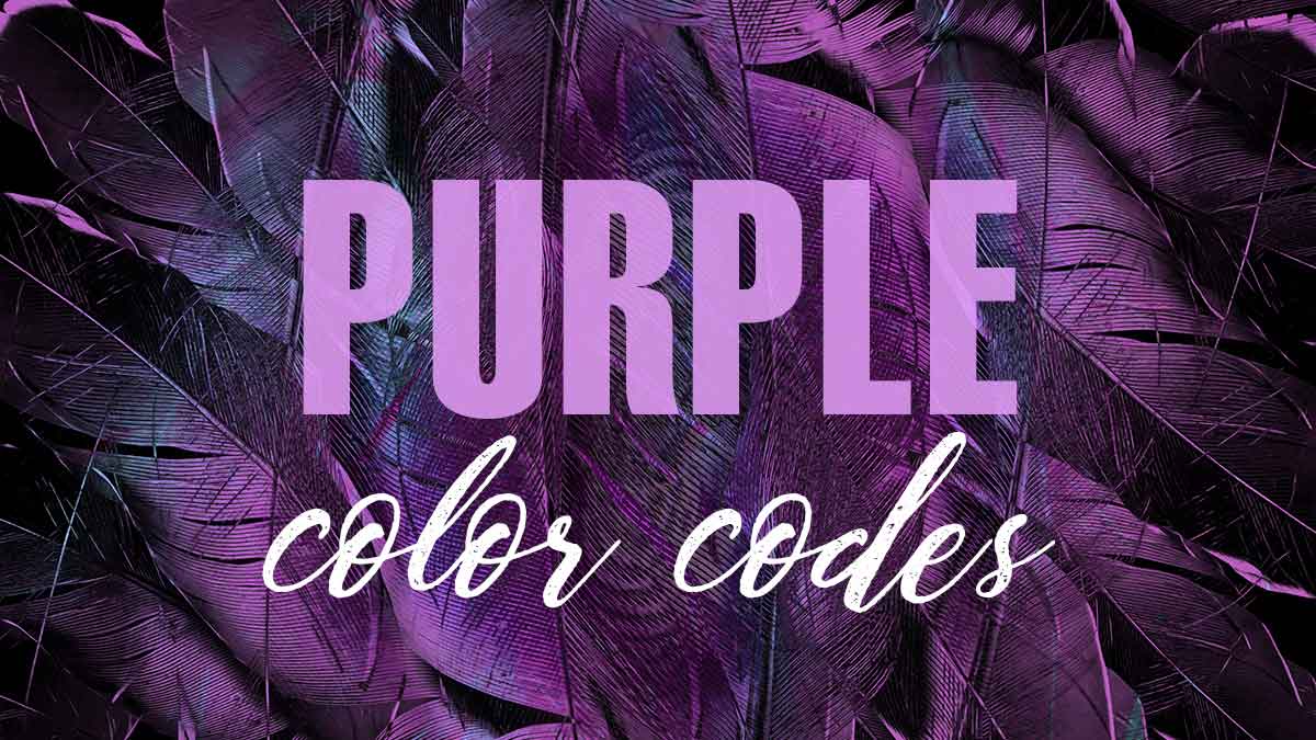 iridescent purple feather background has text saying purple color codes.
