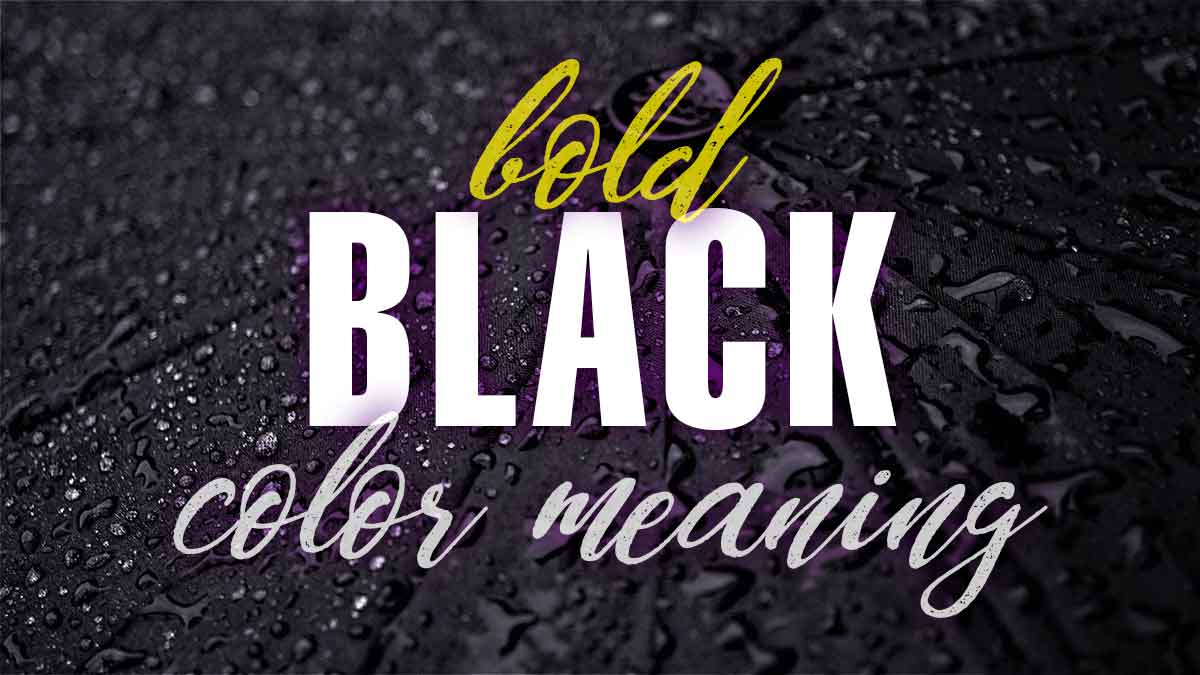 Black Color Meaning: The Color Black Symbolizes Power and Sophistication -  Color Meanings