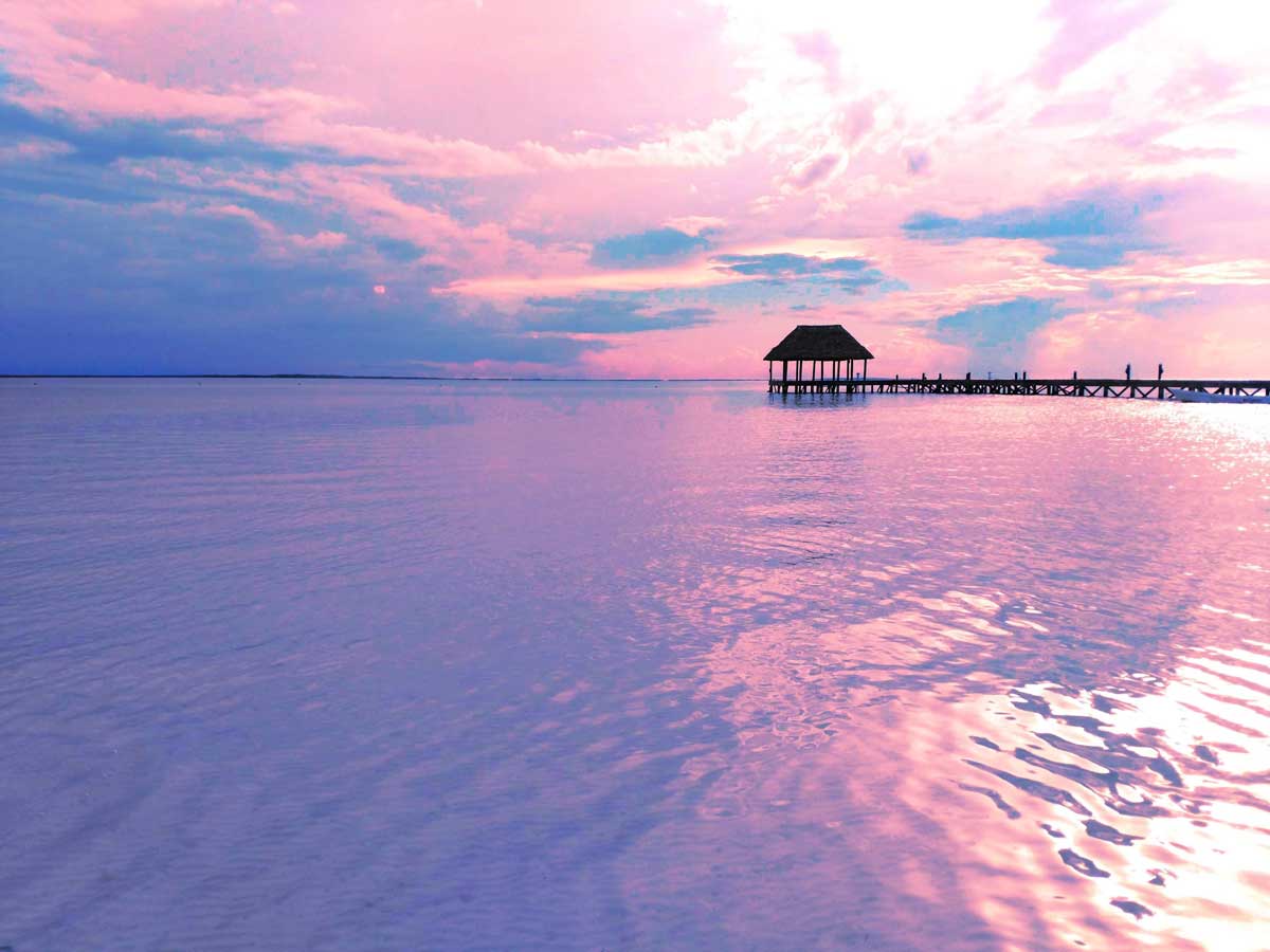 calming scene with soft pink sky reflecting in the ocean.