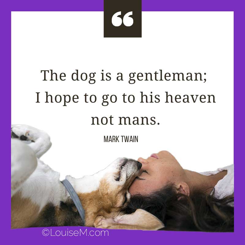 dog and woman with quote, The dog is a gentleman; I hope to go to his heaven, not man’s.