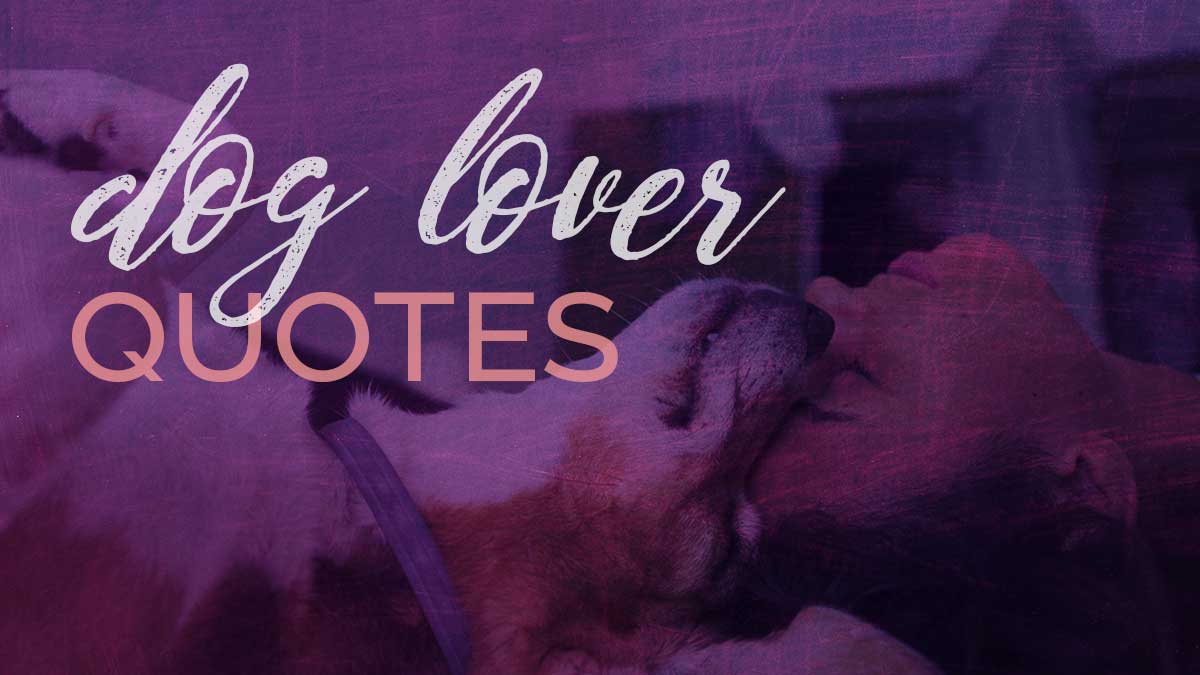 woman relaxing head to head with dog on purple background with text, dog lover quotes.