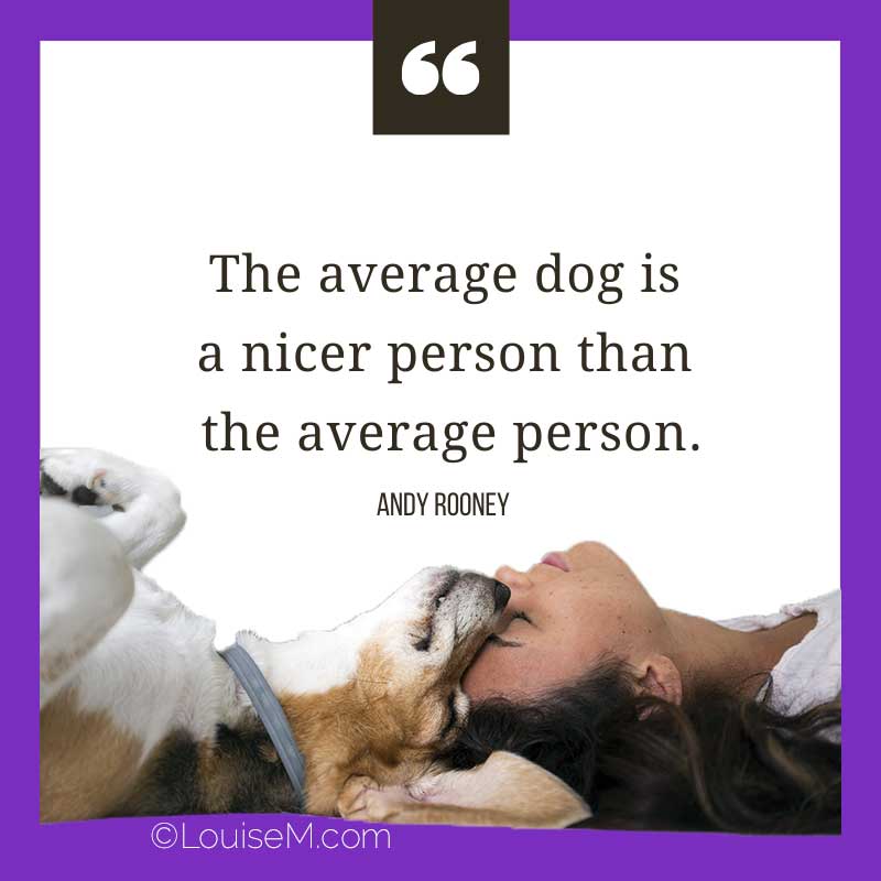 dog and master with quote, The average dog is a nicer person than the average person.
