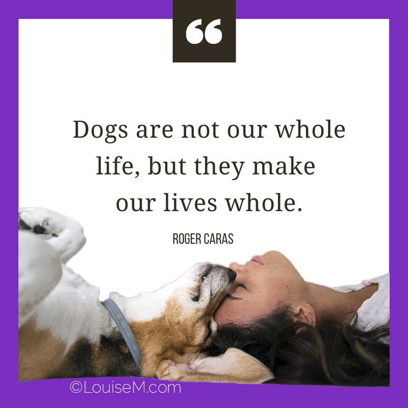 dog and owner with quote, Dogs are not our whole life, but they make our lives whole.
