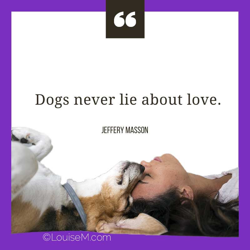 woman and dog with quote, dogs never lie about love.