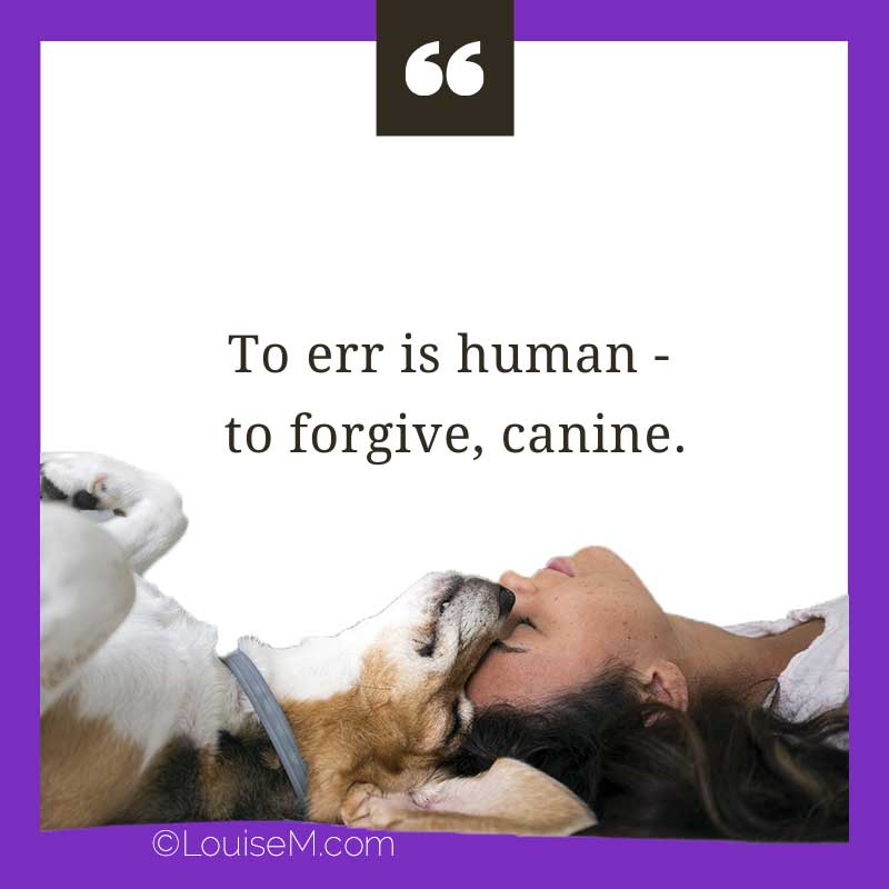 dog and woman with saying, To err is human - to forgive, canine.