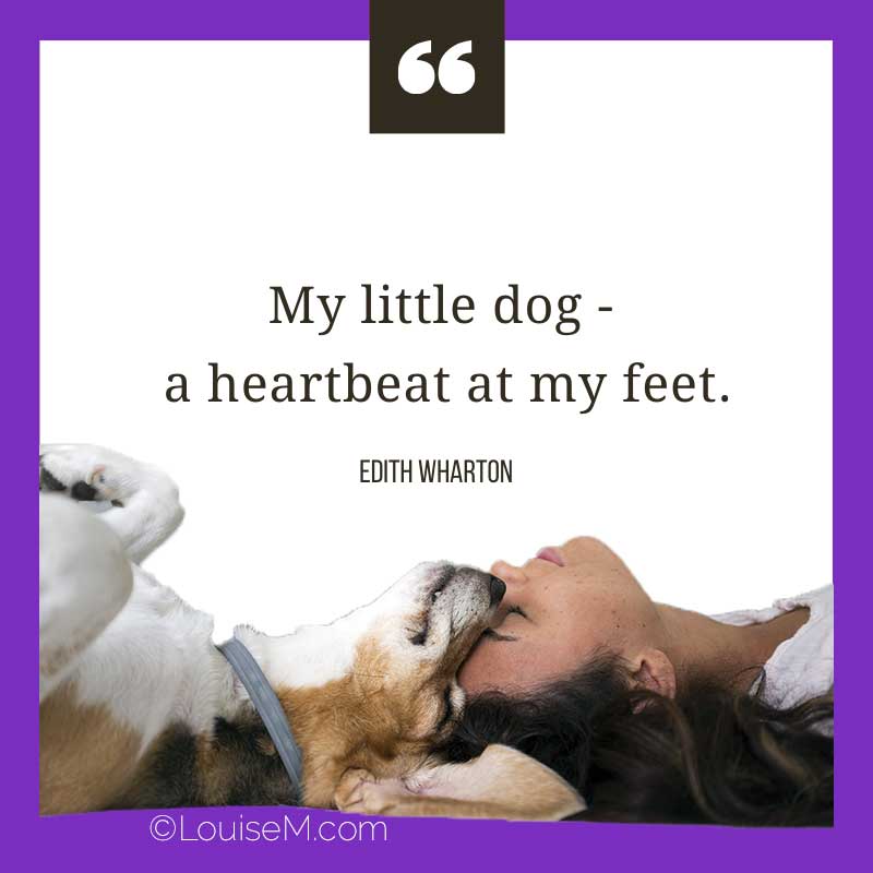 dog lady with quote, My little dog - a heartbeat at my feet.
