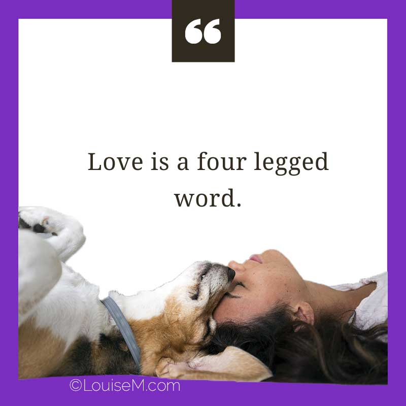 woman and dog with saying, Love is a four legged word.
