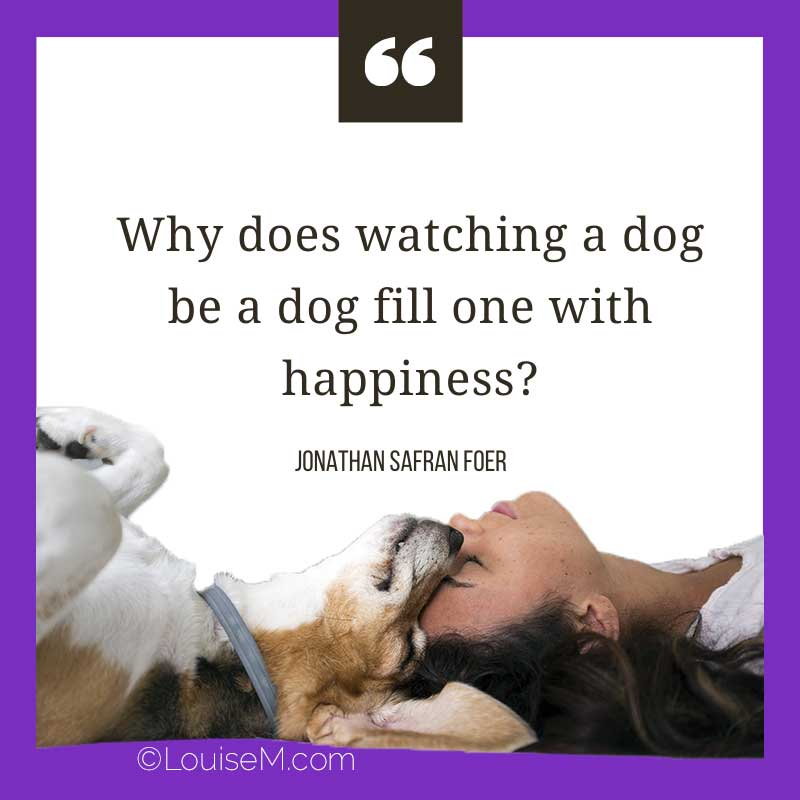 dog lady with quote, Why does watching a dog be a dog fill one with happiness?