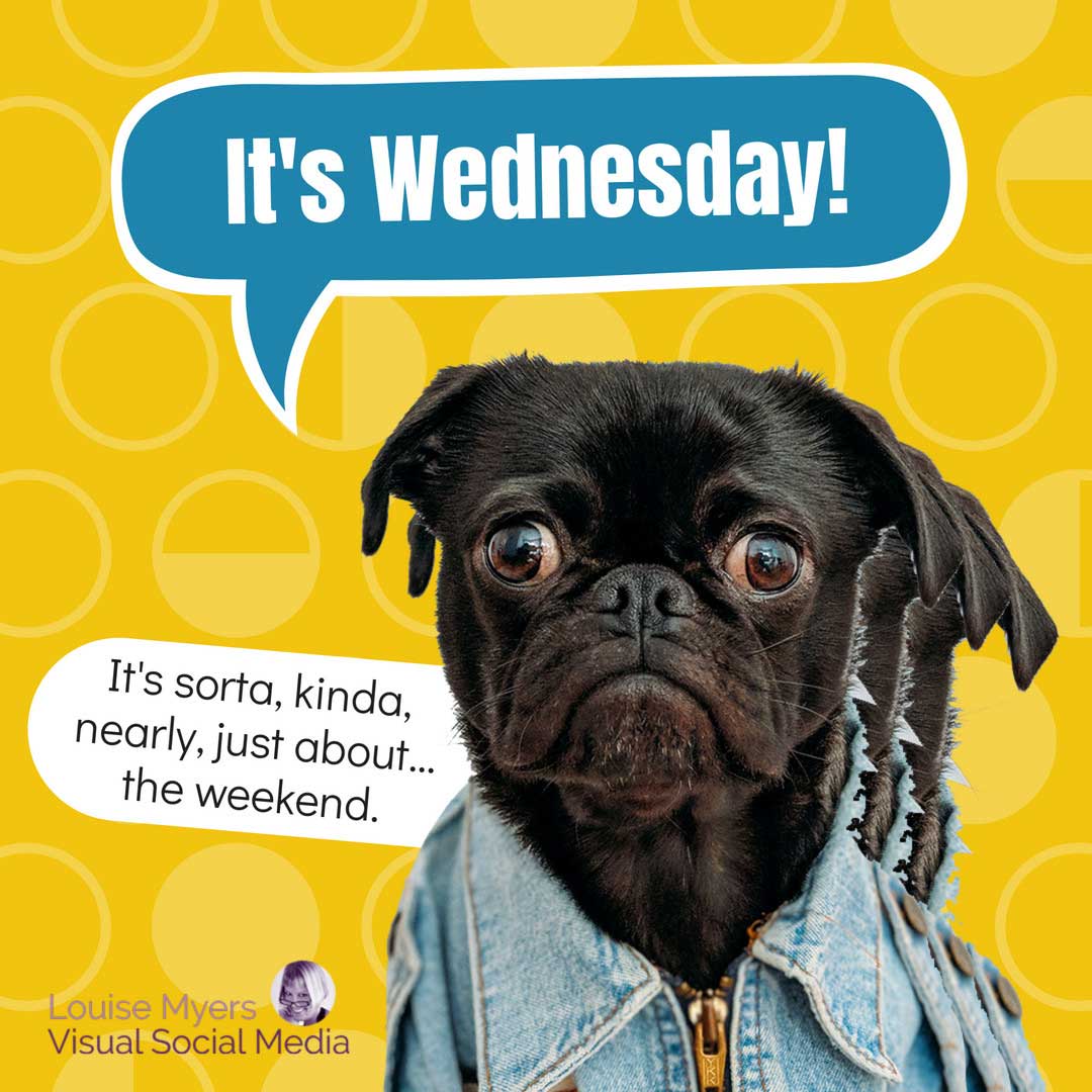 goofy pug dog has quote bubble with words, Wednesday: it’s almost, sorta, kinda, close to, just about, nearly the weekend.