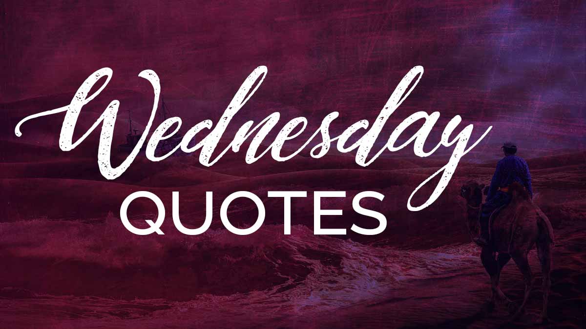 purple banner graphic with small camel traversing desert says wednesday quotes.
