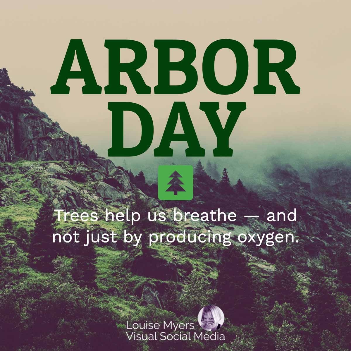 moutainside covered in trees says arbor day, trees help us breathe.