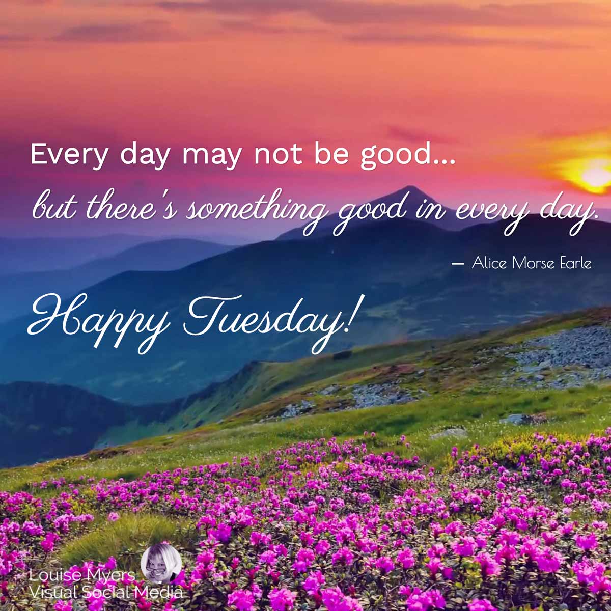 flowers, mountains and sunset photo has quote, Every day may not be good, but there's something good in every day. Happy Tuesday!