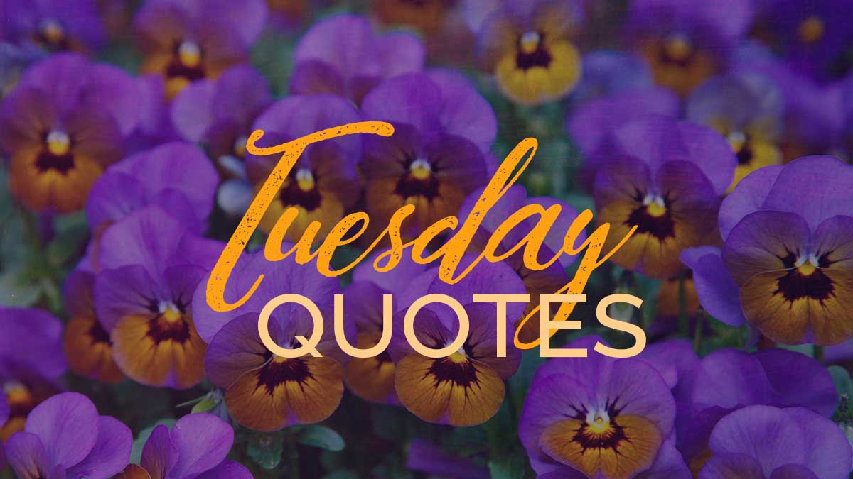 happy tuesday images for facebook