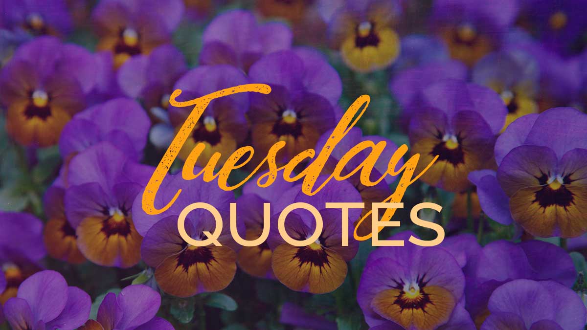 Tuesday Motivational Quotes: Transformation Tuesday & Taco Tuesday