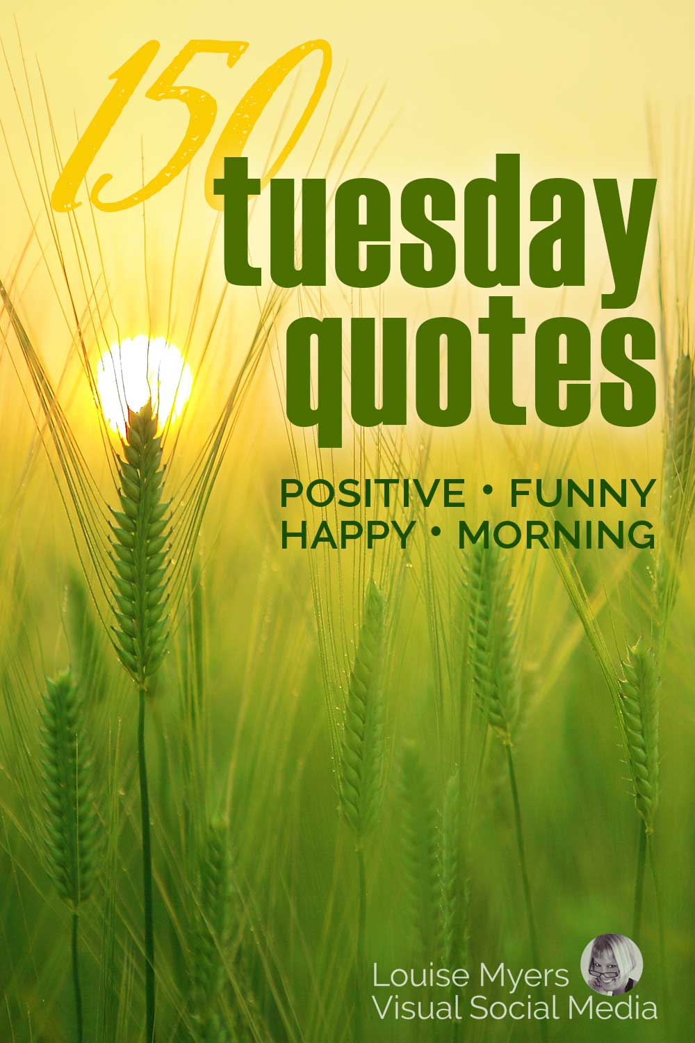 sun rising in golden sky over field of green wheat has words, 150 tuesday quotes, positive funny happy morning.