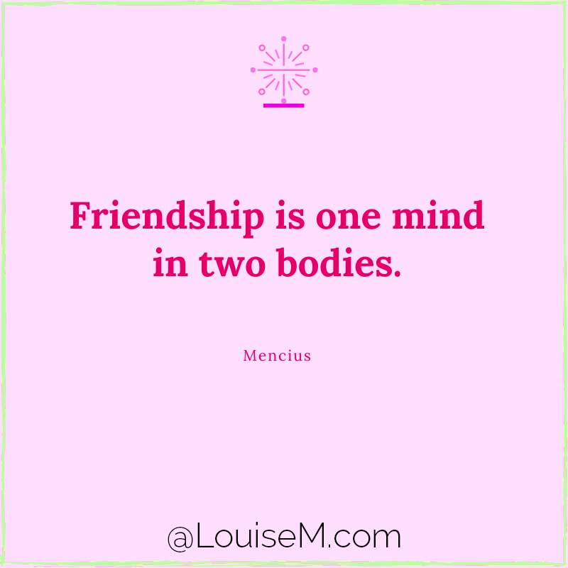 pink graphic says friendship is one mind in two bodies.